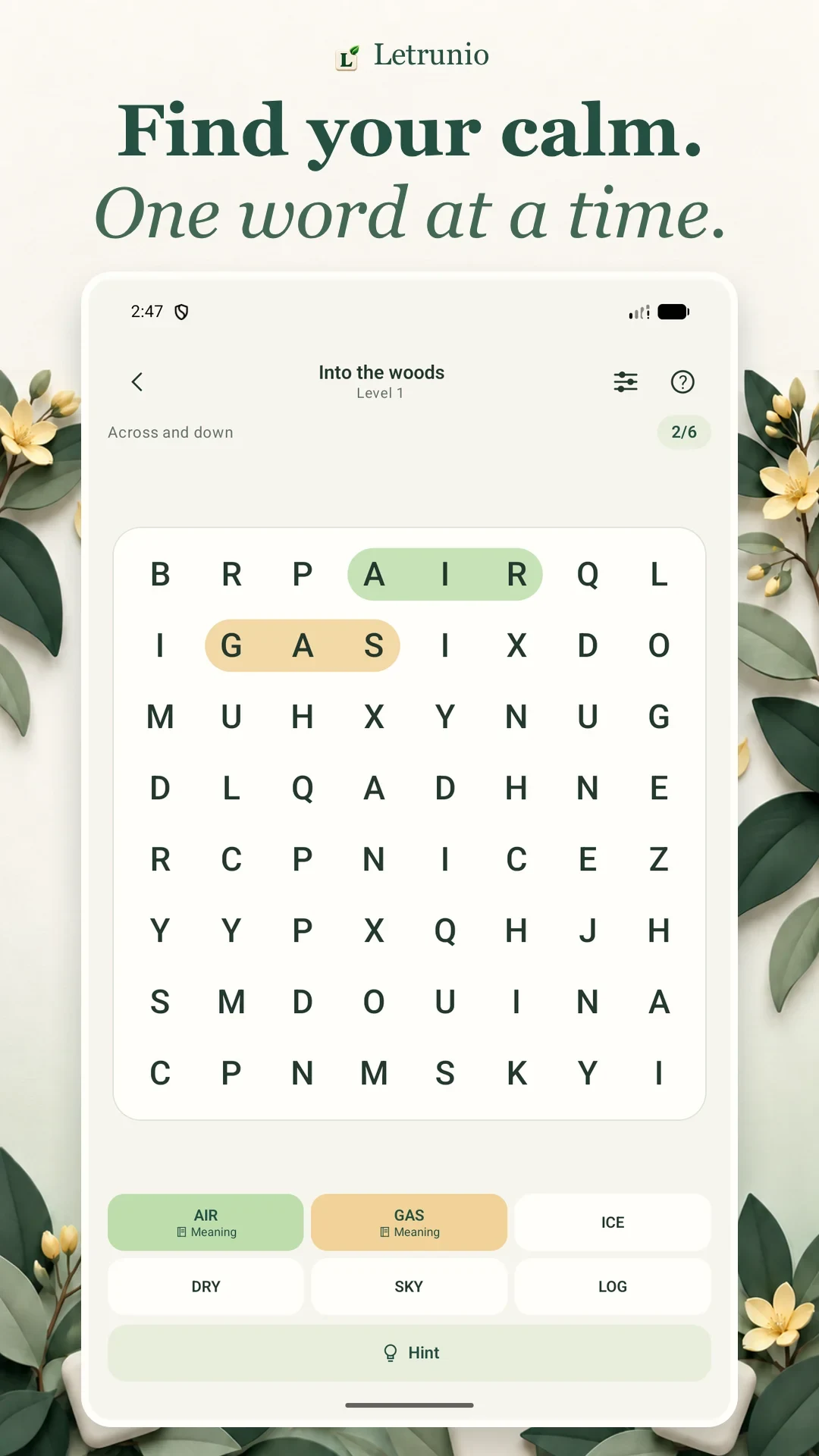 How to Play Word Search: A Beginner’s Guide cover image